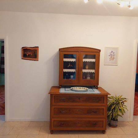 Ferienwohnung Lucy Am Lonitzberg 斯特恩克申艾姆弗尔 外观 照片